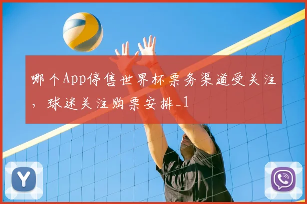 哪个App停售世界杯票务渠道受关注，球迷关注购票安排_1