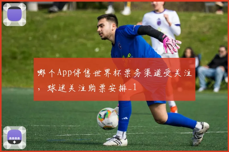 哪个App停售世界杯票务渠道受关注，球迷关注购票安排_1