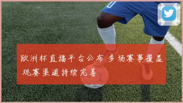 欧洲杯直播平台公布 多场赛事覆盖 观赛渠道持续完善
