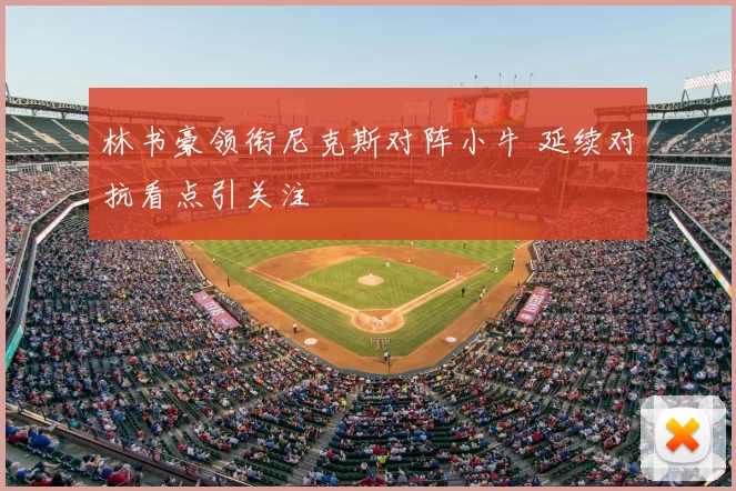 林书豪领衔尼克斯对阵小牛 延续对抗看点引关注