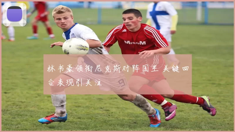 林书豪领衔尼克斯对阵国王 关键回合表现引关注